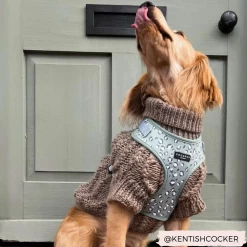 Sage Leopard Adjustable Neck Harness -Cocopup London CopyofCopyofCOMINGSOON 2 683afa9c b9f7 4638 a1cc 41fa0d18fc05