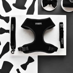 Luxe Velvet Collar - Noir -Cocopup London DSC 0634 05a7ccd1 4f45 40df b975 9ce35f26f945