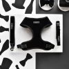 Luxe Velvet Adjustable Neck Harness, Lead & Collar Bundle - Noir -Cocopup London DSC 0634 1c7a1485 cb0f 4547 af53 7cb345cb6561