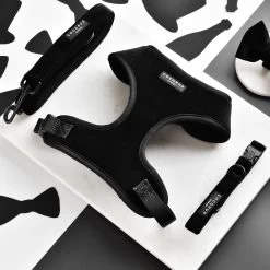 Luxe Velvet Adjustable Neck Harness, Lead & Collar Bundle - Noir -Cocopup London DSC 0644 7c5a69cb 8b1e 431e 89f2 7b61726095f0