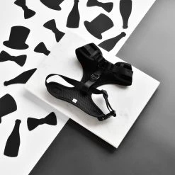 Luxe Velvet Adjustable Neck Harness - Noir -Cocopup London DSC 0679