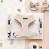 Luxe Velvet Adjustable Neck Harness, Lead & Collar Bundle - Champagne