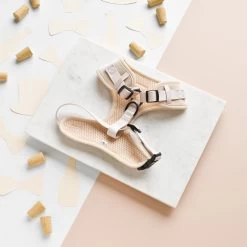 Luxe Velvet Adjustable Neck Harness, Lead & Collar Bundle - Champagne -Cocopup London DSC 0960 3e613ef1 20d8 44bc 8621 df770d8311a1