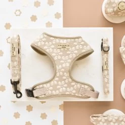 Luxe Adjustable Neck Harness - Mocha Flower -Cocopup London DSC 1074