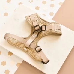 Luxe Adjustable Neck Harness - Mocha Flower -Cocopup London DSC 1170