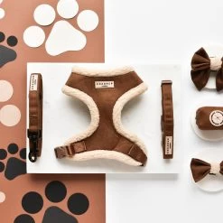 Brown Aviator Collar -Cocopup London DSC 1261