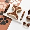 Brown Aviator Adjustable Neck Harness, Lead & Collar Bundle 2 Brown Aviator Adjustable Neck Harness, Lead & Collar Bundle -Cocopup London DSC 1340
