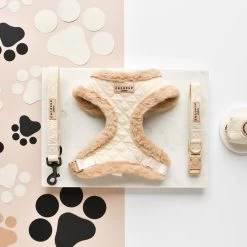 Quilted Adjustable Neck Harness, Lead & Collar Bundle