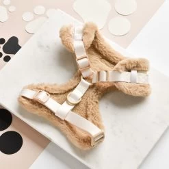 Quilted Adjustable Neck Harness -Cocopup London DSC 1615