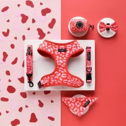 Red & Pink Leopard Bow Tie -Cocopup London DSC 2224 7f91b13c c2b7 4803 b1a1 3de28c26fc67