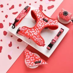 Red & Pink Leopard Adjustable Neck Harness -Cocopup London DSC 2280