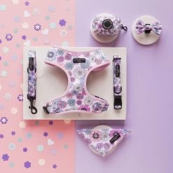 Pastel Flowers Collar -Cocopup London DSC 2349 ab39d222 88fc 4fa0 b9cb fb3b83f44770