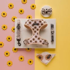 Sunflowers Collar -Cocopup London DSC 4109 1