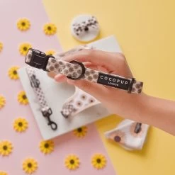 Sunflowers Collar