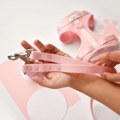 NAKD Lead - Candyfloss -Cocopup London DSC 4236 bb626e9c 16ee 4581 a43a 053b4cbb1a65