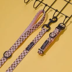 Sunflowers Collar -Cocopup London DSC 4363