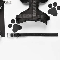 NAKD Collar - Liquorice -Cocopup London DSC 4402 ce0d753e 0356 47ba 93dc e9f7a79972c2