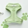 NAKD Adjustable Neck Harness - Matcha 2 NAKD Adjustable Neck Harness - Matcha -Cocopup London DSC 4525