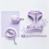 NAKD Adjustable Neck Harness, Lead, Collar & Poop Bag Holder Bundle - Parma Violets -Cocopup London DSC 4609 895bf374 cbfa 4b67 b4bc e07dca140e07
