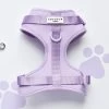 NAKD Adjustable Neck Harness - Parma Violets -Cocopup London DSC 4635