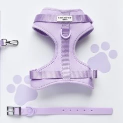 NAKD Adjustable Neck Harness, Lead, Collar & Poop Bag Holder Bundle - Parma Violets 24 NAKD Adjustable Neck Harness, Lead, Collar & Poop Bag Holder Bundle - Parma Violets -Cocopup London DSC 4635 11d7808f 16e5 4495 bb41 22c56f5d1462