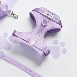 NAKD Adjustable Neck Harness - Parma Violets -Cocopup London DSC 4640