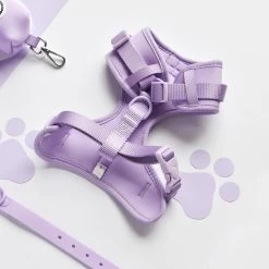 NAKD Adjustable Neck Harness, Lead, Collar & Poop Bag Holder Bundle - Parma Violets 27 NAKD Adjustable Neck Harness, Lead, Collar & Poop Bag Holder Bundle - Parma Violets -Cocopup London DSC 4663 ef2e2733 abf0 411f 91af 0be42c7b304d