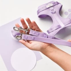 NAKD Adjustable Neck Harness, Lead, Collar & Poop Bag Holder Bundle - Parma Violets 29 NAKD Adjustable Neck Harness, Lead, Collar & Poop Bag Holder Bundle - Parma Violets -Cocopup London DSC 4687 4966b824 979c 427e ac8d 70d7b962cf18