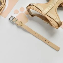 NAKD Collar - Biscuit -Cocopup London DSC 4737