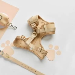 NAKD Adjustable Neck Harness, Lead, Collar & Poop Bag Holder Bundle - Biscuit 23 NAKD Adjustable Neck Harness, Lead, Collar & Poop Bag Holder Bundle - Biscuit -Cocopup London DSC 4763 5d970552 ed61 4723 a179 555c6e2dd130