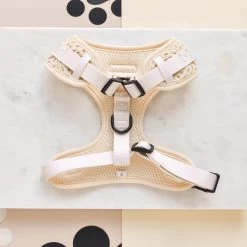 Festival Crochet Adjustable Neck Harness 24 Festival Crochet Adjustable Neck Harness -Cocopup London DSC 4849