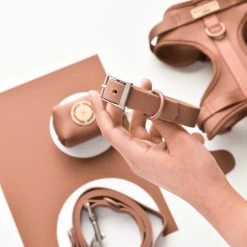 NAKD Adjustable Neck Harness, Lead, Collar & Poop Bag Bundle Bundle - Brownie -Cocopup London DSC 4882