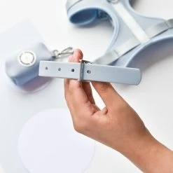 NAKD Collar - Bubblegum 7 NAKD Collar - Bubblegum -Cocopup London DSC 4904