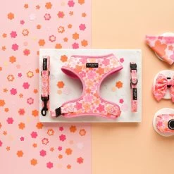 Summer Bloom Adjustable Neck Harness -Cocopup London DSC 5199 508e1fbe 7134 40fa 98aa 73e1d6f54a5b
