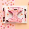 Summer Bloom Adjustable Neck Harness, Lead & Collar Bundle -Cocopup London DSC 5214