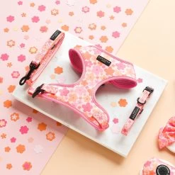 Summer Bloom Adjustable Neck Harness, Lead & Collar Bundle -Cocopup London DSC 5287