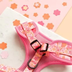 Summer Bloom Adjustable Neck Harness -Cocopup London DSC 5340