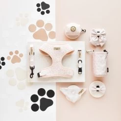 Nude Chic Leopard Adjustable Neck Harness -Cocopup London DSC 6041 fede66b8 e3c2 4311 9e18 2869e1dcae74