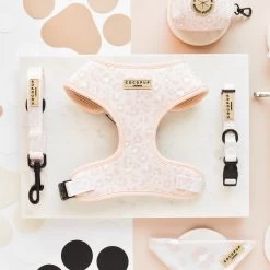 Nude Chic Leopard Adjustable Neck Harness, Lead & Collar Bundle