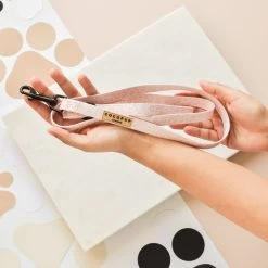 Nude Chic Leopard Puppy Lead & Collar Set -Cocopup London DSC 6243