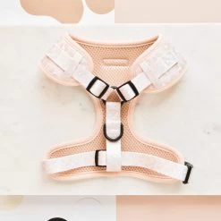 Nude Chic Leopard Adjustable Neck Harness -Cocopup London DSC 6274