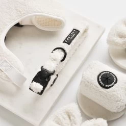 Teddy Collar - Dolly -Cocopup London DSC 6568 424eeee4 400d 44c1 a762 4b1b3208780a