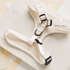 Teddy Adjustable Neck Harness - Dolly -Cocopup London DSC 6663