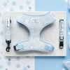 Luxe Baby Blue Flower Adjustable Neck Harness, Lead & Collar Bundle -Cocopup London DSC 7025 bd82b0c9 8013 45de a457 2e7433f2ec01