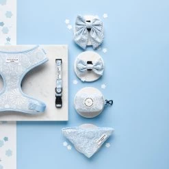 Luxe Sailor Bow Tie - Baby Blue Flower -Cocopup London DSC 7029