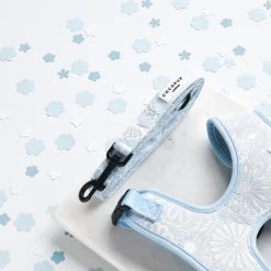 Luxe Baby Blue Flower Adjustable Neck Harness, Lead & Collar Bundle -Cocopup London DSC 7069 12bed4c9 c70c 4d2b 8293 850e640f9320