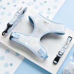 Luxe Baby Blue Flower Adjustable Neck Harness, Lead & Collar Bundle -Cocopup London DSC 7084 b62d7ab0 d8c9 4ea3 bd0c 772bc7a74dc9