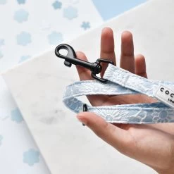 Luxe Baby Blue Flower Puppy Lead & Collar Set -Cocopup London DSC 7209