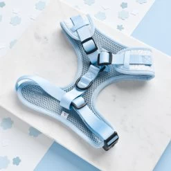Luxe Adjustable Neck Harness - Baby Blue Flower -Cocopup London DSC 7239