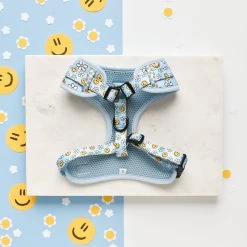 Smiley Pawty Tent Adjustable Neck Harness -Cocopup London DSC 7695